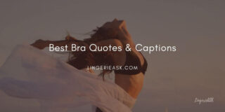 22 Best Bra Quotes & Funny Captions