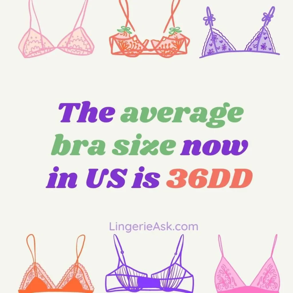 The average bra size now in US is 36DD