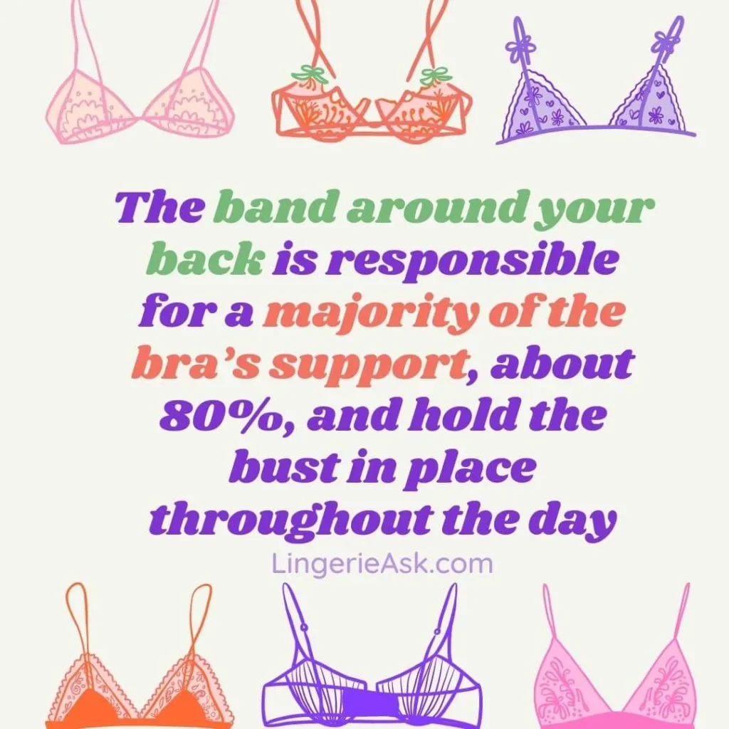 The band around your back is responsible for a majority of the bra’s support, about 80%, and hold the bust in place throughout the day