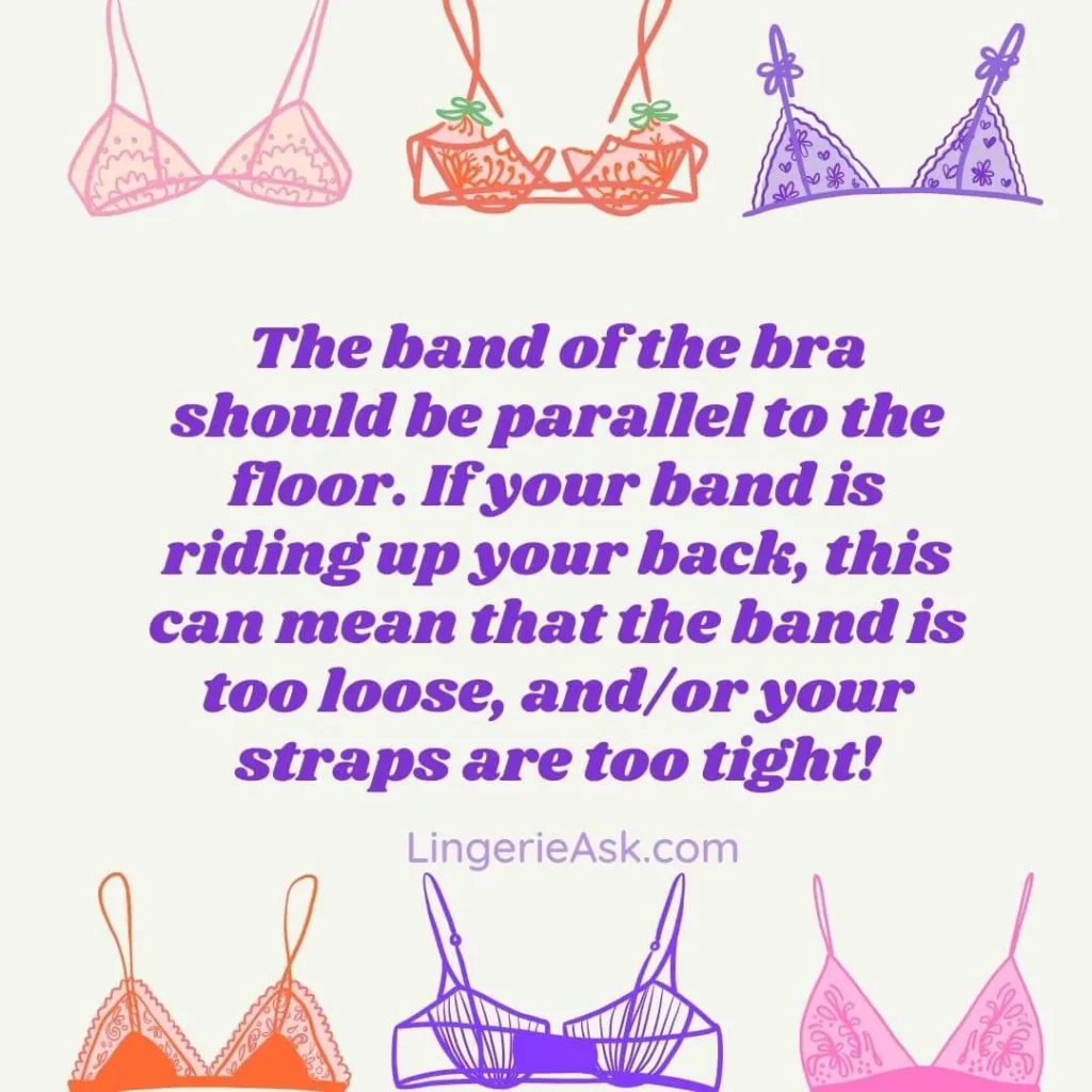 The band of the bra should be parallel to the floor. If your band is riding up your back, this can mean that the band is too loose, andor your straps are too tight!