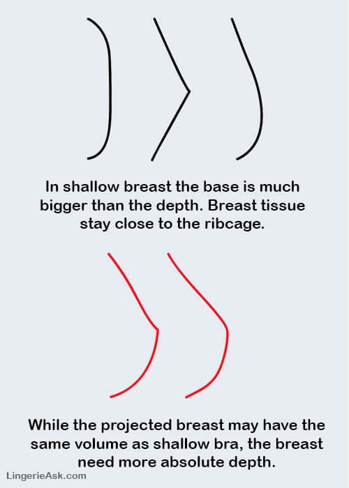 difference between projected vs shallow breasts